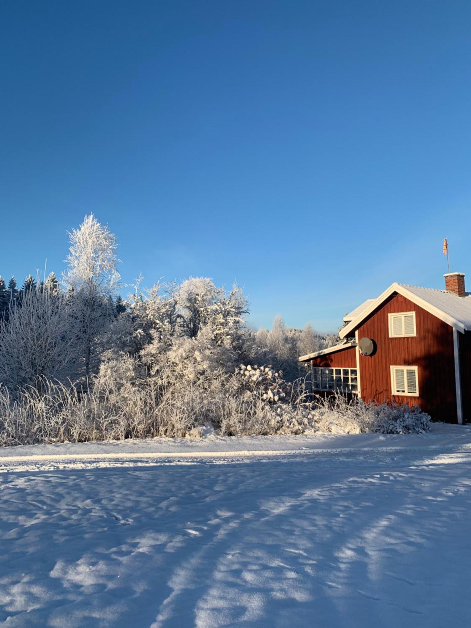 Warm Beheiztes Gemuetliches Haus In Der Natur Sunne Exterior photo